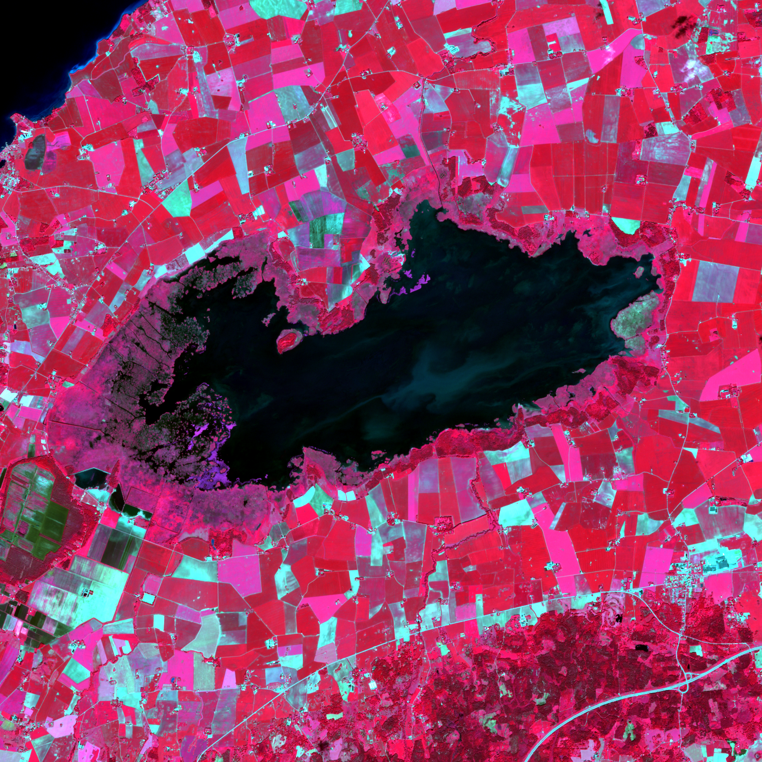 False Color NIR
