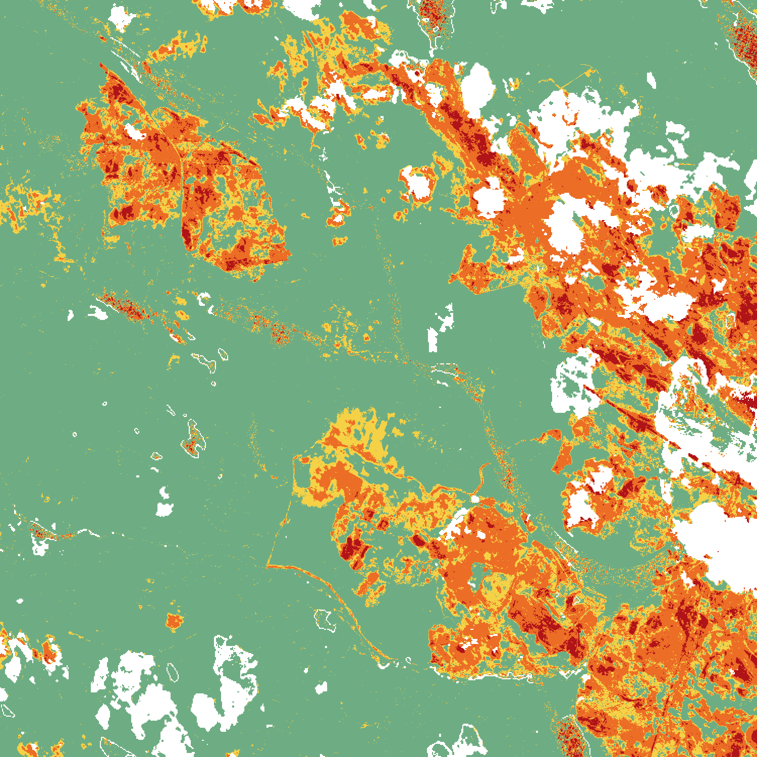 dNBR Severity Map