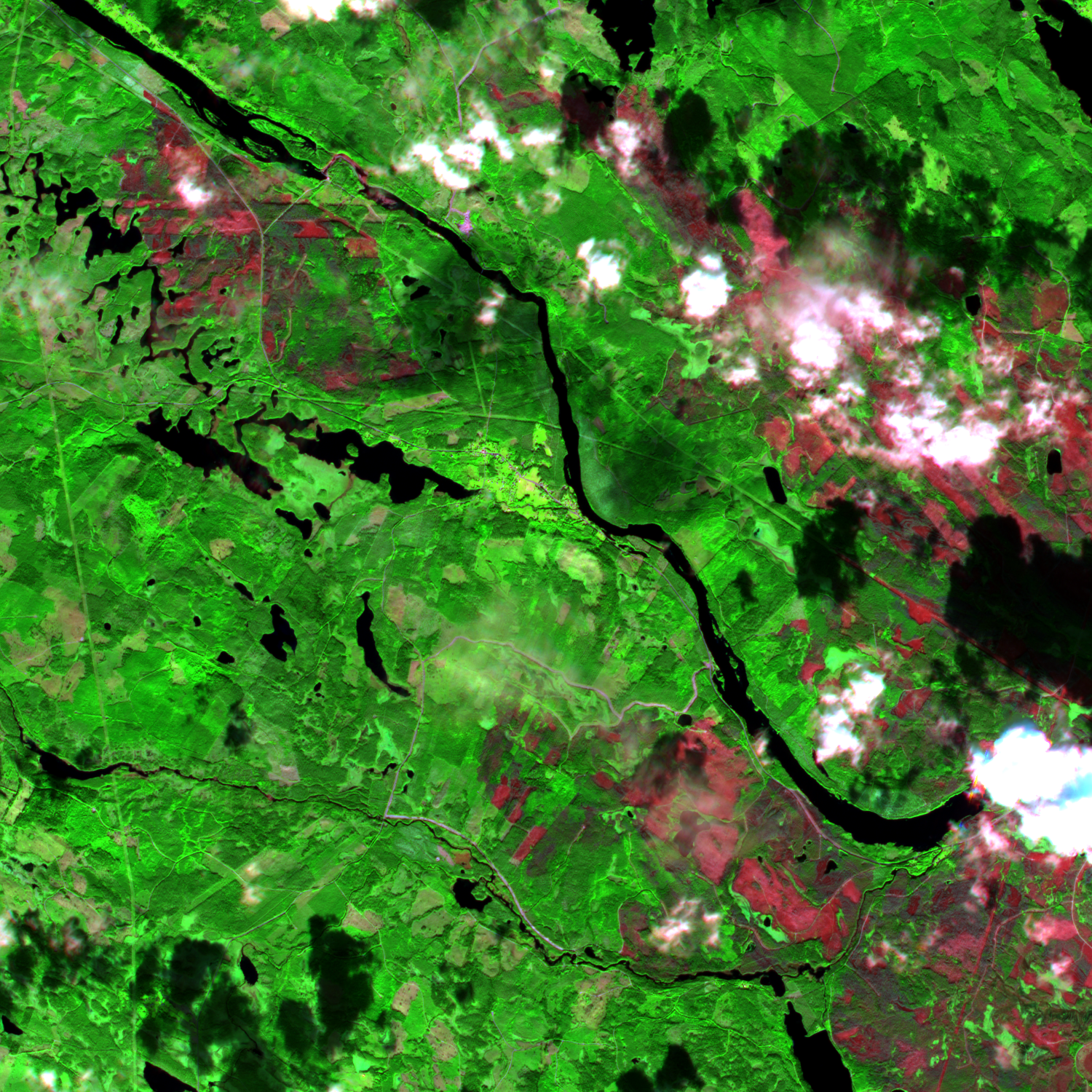 False Color Burn Scars